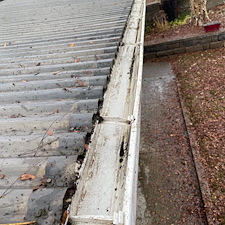 Pullman-Gutter-Clean-Out 0